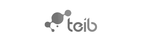Logotipo de Teib, cliente de Todoesdata